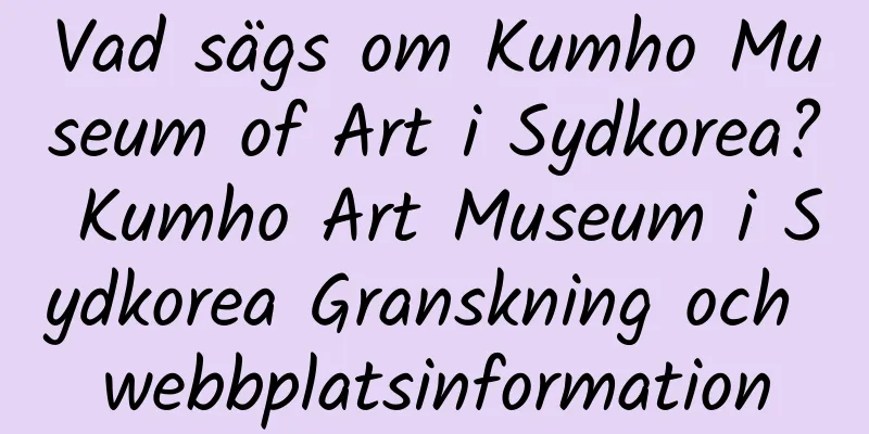 Vad sägs om Kumho Museum of Art i Sydkorea? Kumho Art Museum i Sydkorea Granskning och webbplatsinformation