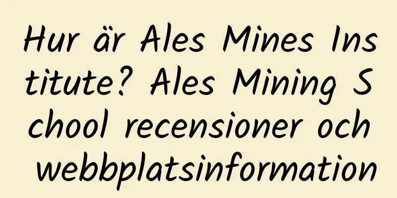 Hur är Ales Mines Institute? Ales Mining School recensioner och webbplatsinformation