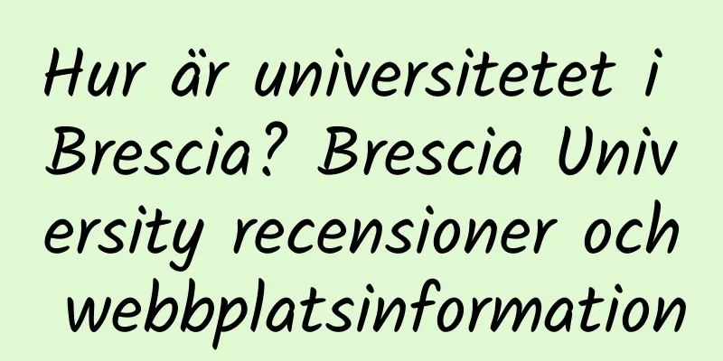 Hur är universitetet i Brescia? Brescia University recensioner och webbplatsinformation