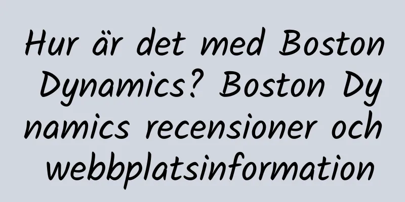 Hur är det med Boston Dynamics? Boston Dynamics recensioner och webbplatsinformation