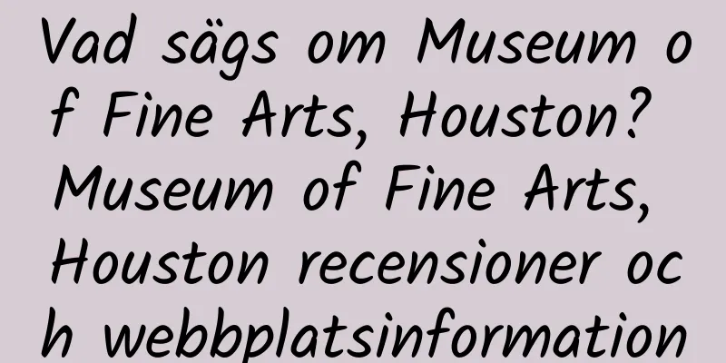 Vad sägs om Museum of Fine Arts, Houston? Museum of Fine Arts, Houston recensioner och webbplatsinformation