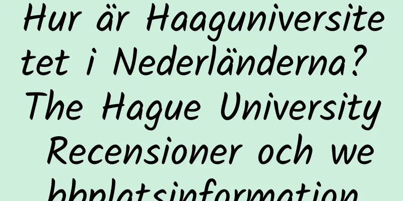 Hur är Haaguniversitetet i Nederländerna? The Hague University Recensioner och webbplatsinformation