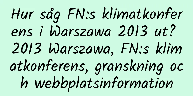Hur såg FN:s klimatkonferens i Warszawa 2013 ut? 2013 Warszawa, FN:s klimatkonferens, granskning och webbplatsinformation