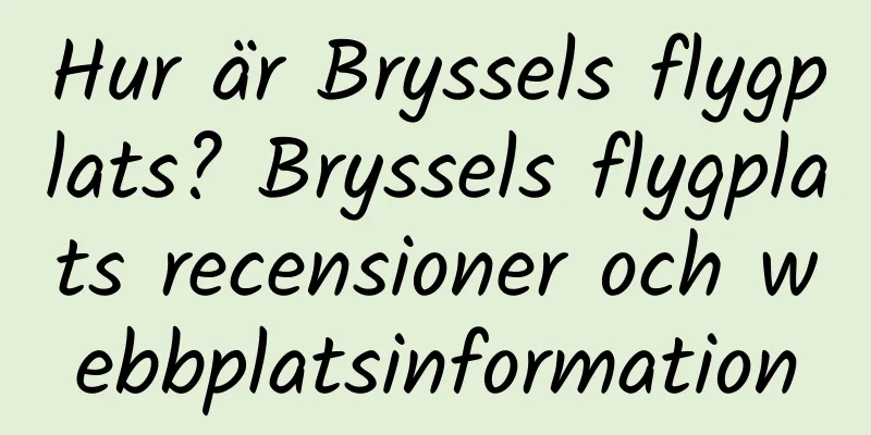 Hur är Bryssels flygplats? Bryssels flygplats recensioner och webbplatsinformation