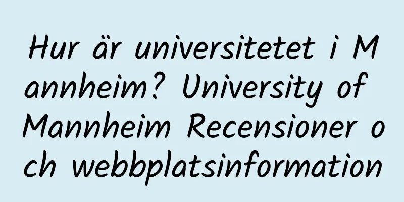 Hur är universitetet i Mannheim? University of Mannheim Recensioner och webbplatsinformation