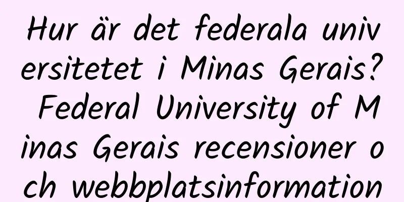 Hur är det federala universitetet i Minas Gerais? Federal University of Minas Gerais recensioner och webbplatsinformation
