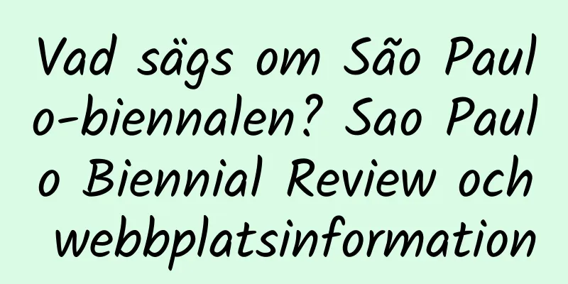 Vad sägs om São Paulo-biennalen? Sao Paulo Biennial Review och webbplatsinformation