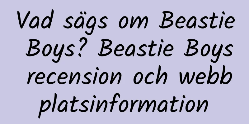 Vad sägs om Beastie Boys? Beastie Boys recension och webbplatsinformation