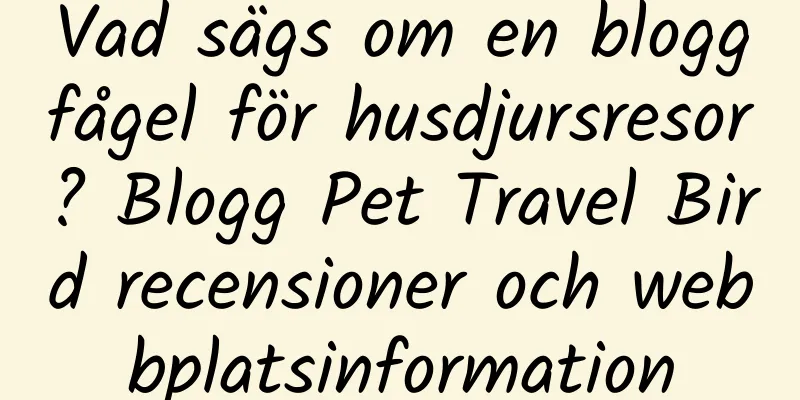 Vad sägs om en bloggfågel för husdjursresor? Blogg Pet Travel Bird recensioner och webbplatsinformation