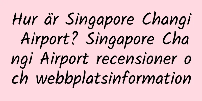 Hur är Singapore Changi Airport? Singapore Changi Airport recensioner och webbplatsinformation