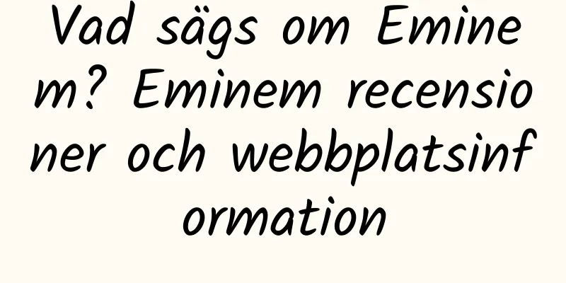 Vad sägs om Eminem? Eminem recensioner och webbplatsinformation