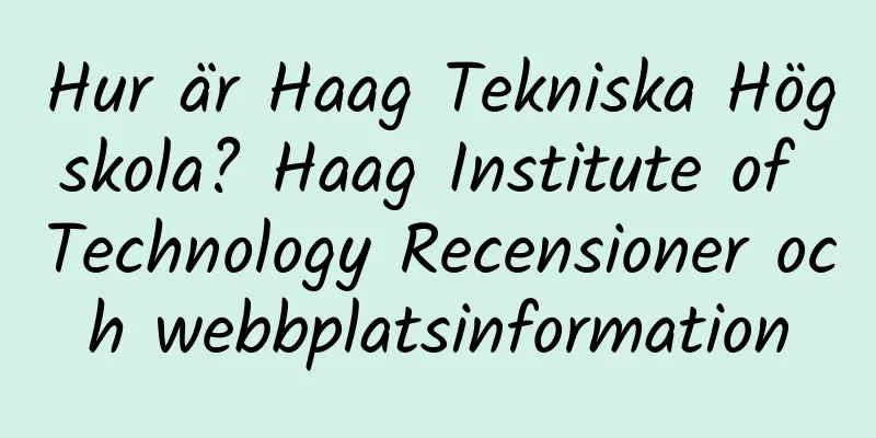 Hur är Haag Tekniska Högskola? Haag Institute of Technology Recensioner och webbplatsinformation