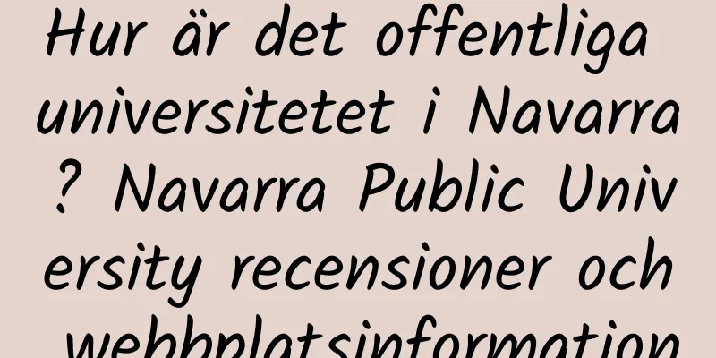 Hur är det offentliga universitetet i Navarra? Navarra Public University recensioner och webbplatsinformation