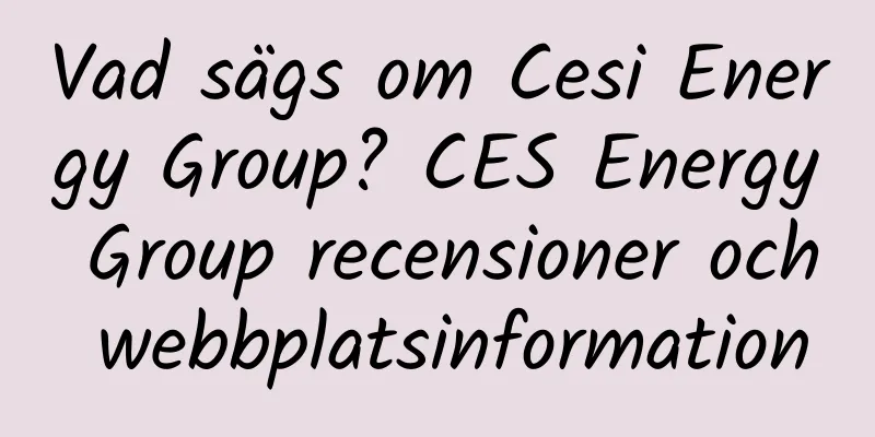 Vad sägs om Cesi Energy Group? CES Energy Group recensioner och webbplatsinformation