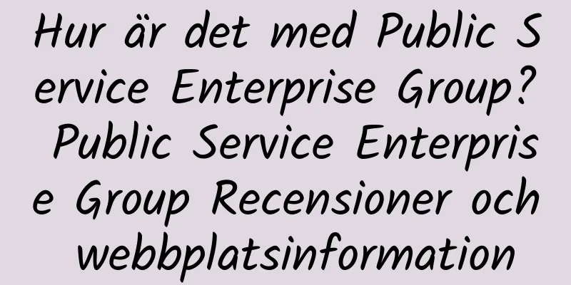 Hur är det med Public Service Enterprise Group? Public Service Enterprise Group Recensioner och webbplatsinformation