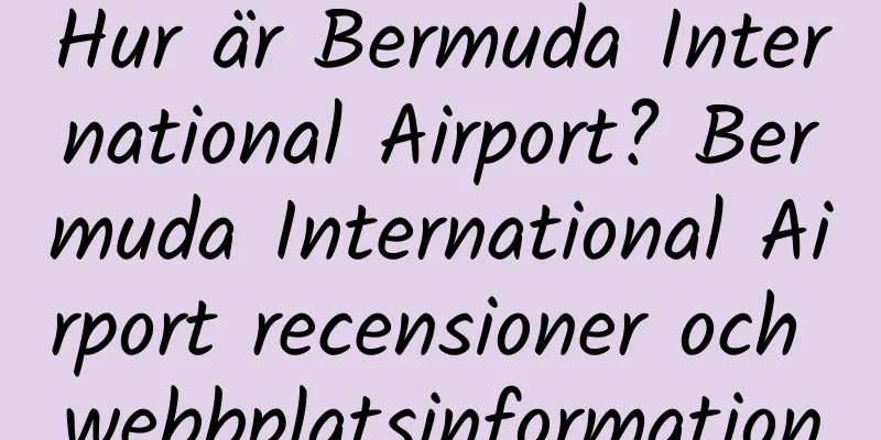 Hur är Bermuda International Airport? Bermuda International Airport recensioner och webbplatsinformation