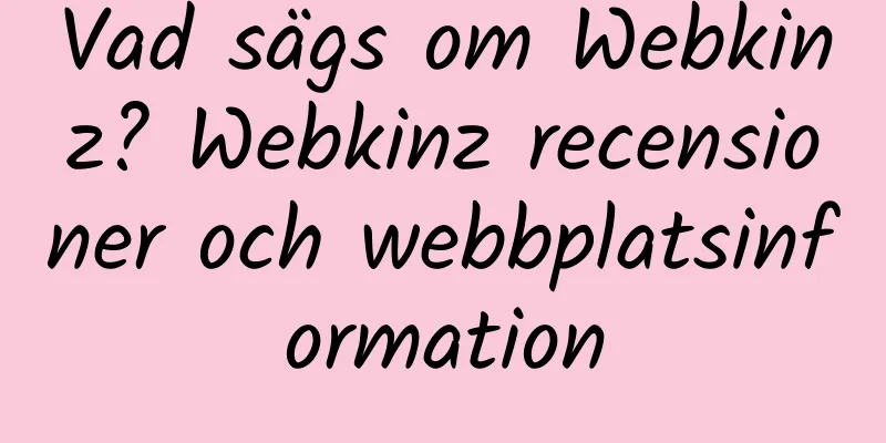 Vad sägs om Webkinz? Webkinz recensioner och webbplatsinformation
