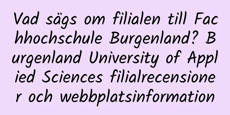 Vad sägs om filialen till Fachhochschule Burgenland? Burgenland University of Applied Sciences filialrecensioner och webbplatsinformation