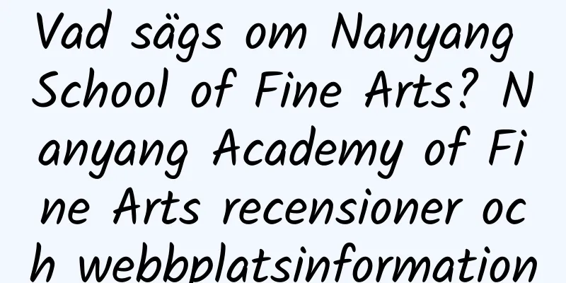 Vad sägs om Nanyang School of Fine Arts? Nanyang Academy of Fine Arts recensioner och webbplatsinformation