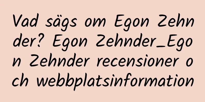 Vad sägs om Egon Zehnder? Egon Zehnder_Egon Zehnder recensioner och webbplatsinformation