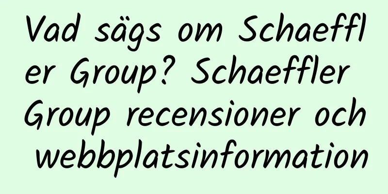Vad sägs om Schaeffler Group? Schaeffler Group recensioner och webbplatsinformation