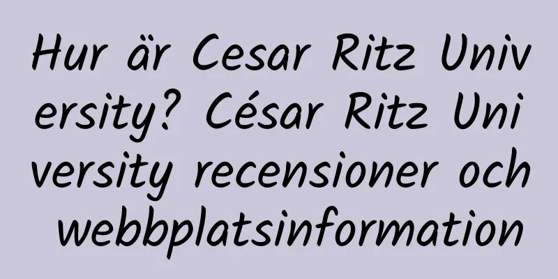 Hur är Cesar Ritz University? César Ritz University recensioner och webbplatsinformation