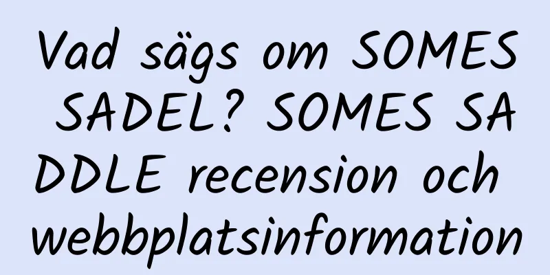 Vad sägs om SOMES SADEL? SOMES SADDLE recension och webbplatsinformation