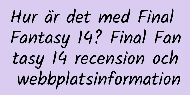 Hur är det med Final Fantasy 14? Final Fantasy 14 recension och webbplatsinformation