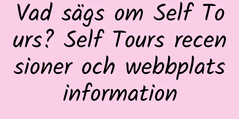 Vad sägs om Self Tours? Self Tours recensioner och webbplatsinformation