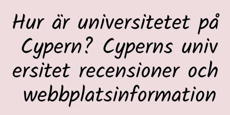 Hur är universitetet på Cypern? Cyperns universitet recensioner och webbplatsinformation