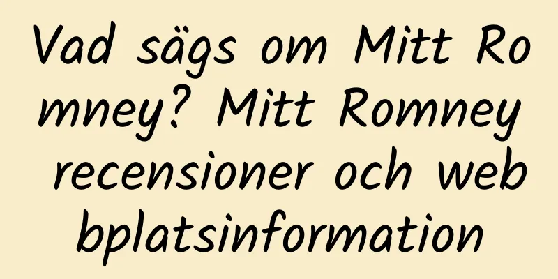 Vad sägs om Mitt Romney? Mitt Romney recensioner och webbplatsinformation