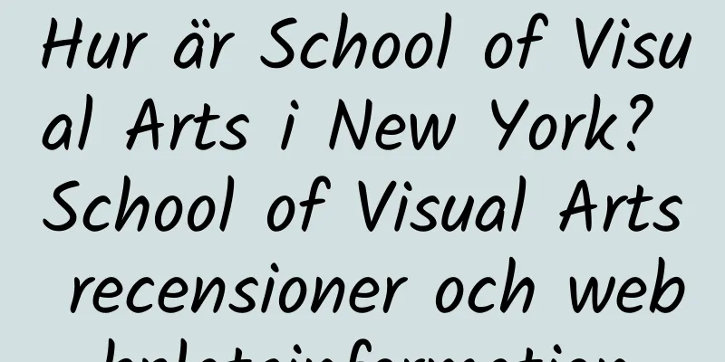 Hur är School of Visual Arts i New York? School of Visual Arts recensioner och webbplatsinformation