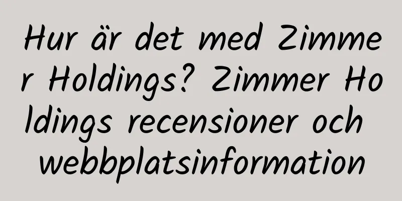 Hur är det med Zimmer Holdings? Zimmer Holdings recensioner och webbplatsinformation