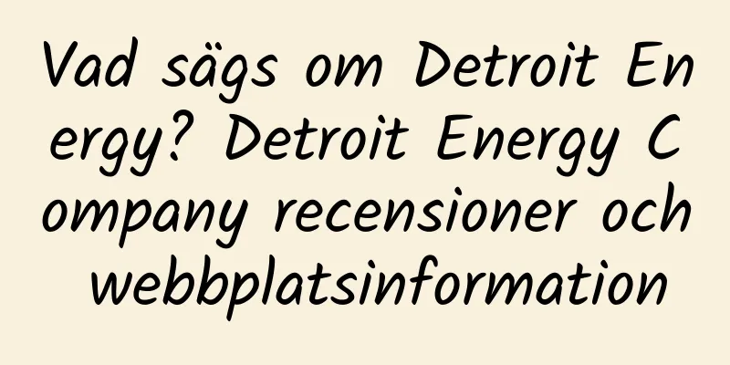 Vad sägs om Detroit Energy? Detroit Energy Company recensioner och webbplatsinformation