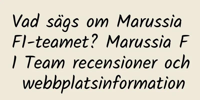 Vad sägs om Marussia F1-teamet? Marussia F1 Team recensioner och webbplatsinformation