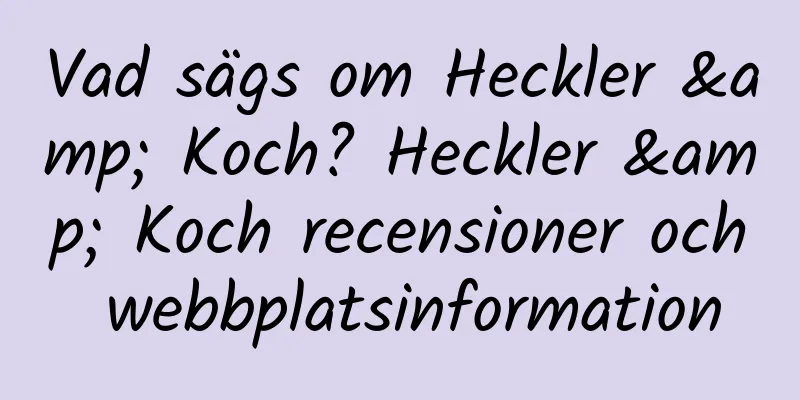 Vad sägs om Heckler & Koch? Heckler & Koch recensioner och webbplatsinformation