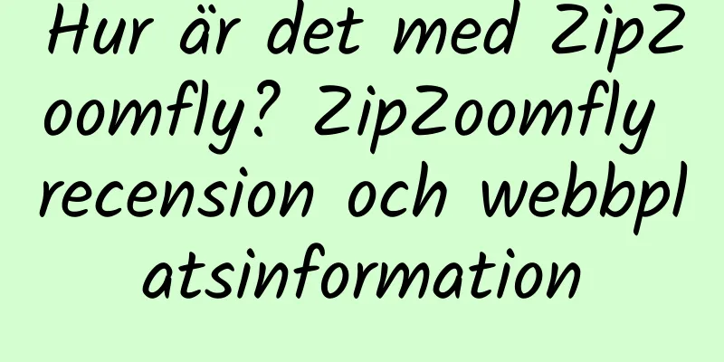 Hur är det med ZipZoomfly? ZipZoomfly recension och webbplatsinformation