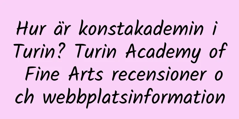 Hur är konstakademin i Turin? Turin Academy of Fine Arts recensioner och webbplatsinformation