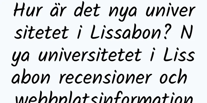 Hur är det nya universitetet i Lissabon? Nya universitetet i Lissabon recensioner och webbplatsinformation