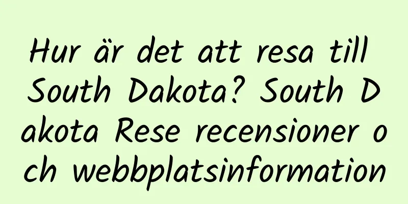 Hur är det att resa till South Dakota? South Dakota Rese recensioner och webbplatsinformation