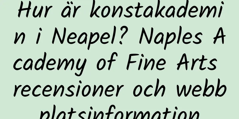 Hur är konstakademin i Neapel? Naples Academy of Fine Arts recensioner och webbplatsinformation