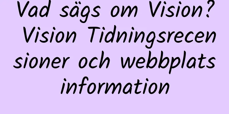 Vad sägs om Vision? Vision Tidningsrecensioner och webbplatsinformation