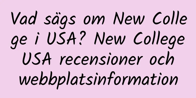 Vad sägs om New College i USA? New College USA recensioner och webbplatsinformation