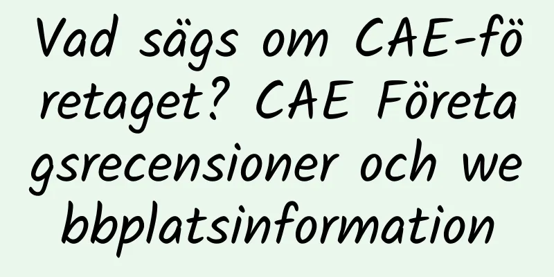 Vad sägs om CAE-företaget? CAE Företagsrecensioner och webbplatsinformation