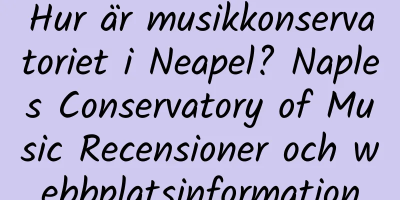 Hur är musikkonservatoriet i Neapel? Naples Conservatory of Music Recensioner och webbplatsinformation