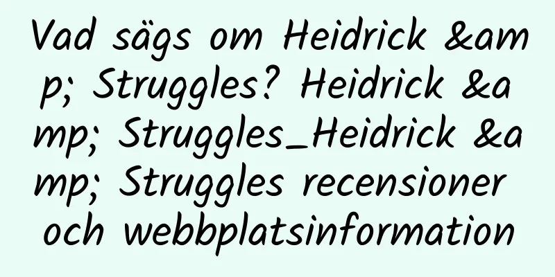 Vad sägs om Heidrick & Struggles? Heidrick & Struggles_Heidrick & Struggles recensioner och webbplatsinformation
