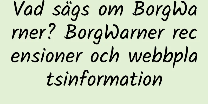 Vad sägs om BorgWarner? BorgWarner recensioner och webbplatsinformation