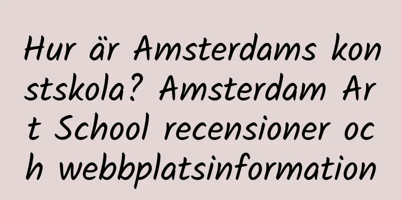 Hur är Amsterdams konstskola? Amsterdam Art School recensioner och webbplatsinformation