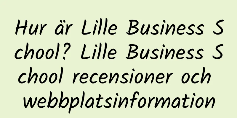 Hur är Lille Business School? Lille Business School recensioner och webbplatsinformation