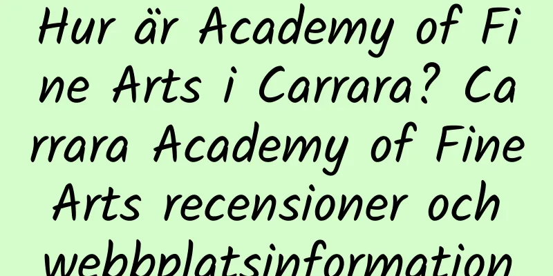 Hur är Academy of Fine Arts i Carrara? Carrara Academy of Fine Arts recensioner och webbplatsinformation